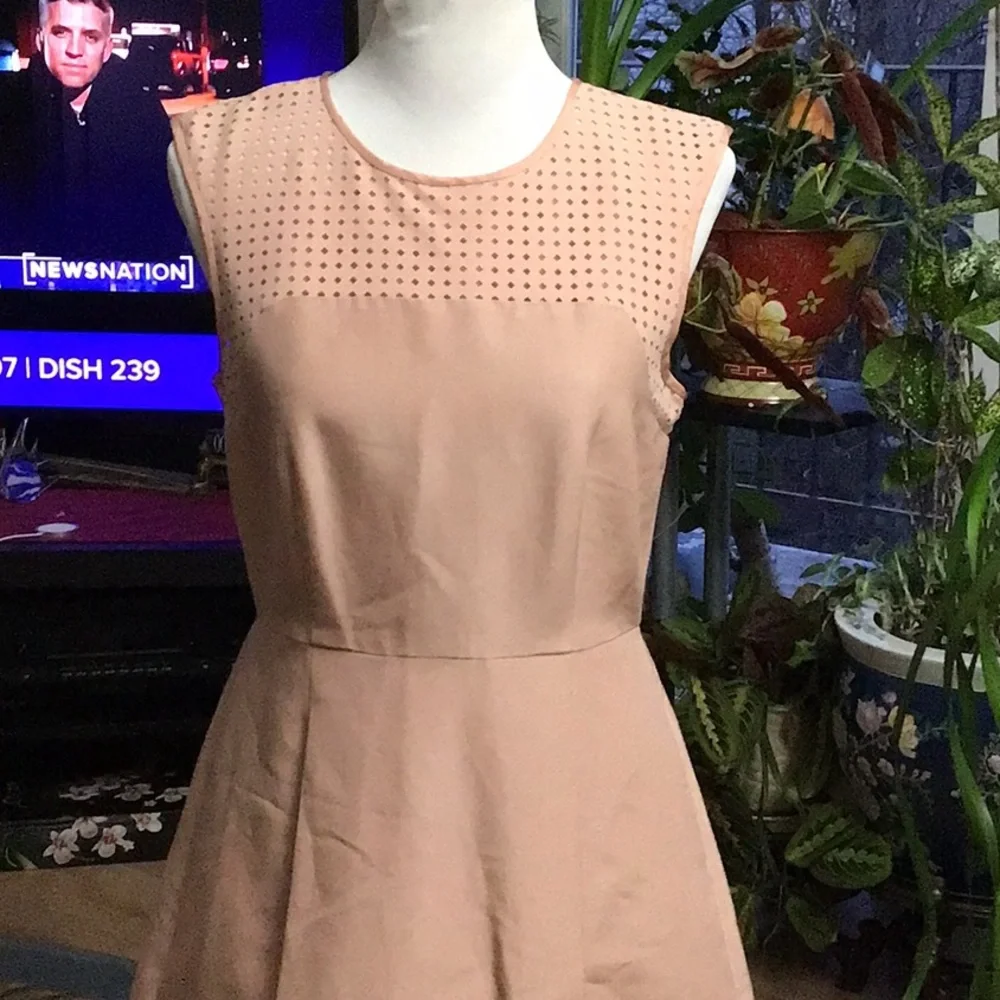 J.Crew pleated dress